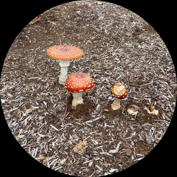 veruca_salt_